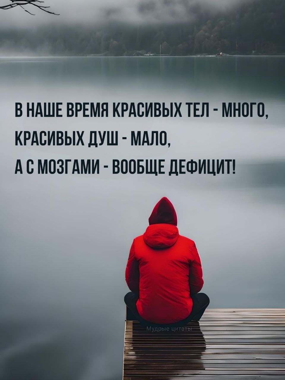 В НАШЕ ВРЕМЯ КРАСИВЫХ ТЕЛ - МНОГО, КРАСИВЫХ ДУШ - МАЛО, А С МОЗГАМИ - ВООБЩЕ ДЕФИЦИТ!
