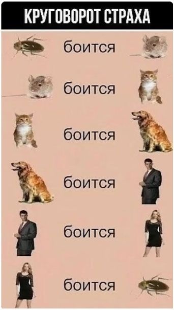 КРУГОВОРОТ СТРАХА
боится
боится
боится
боится
боится
боится