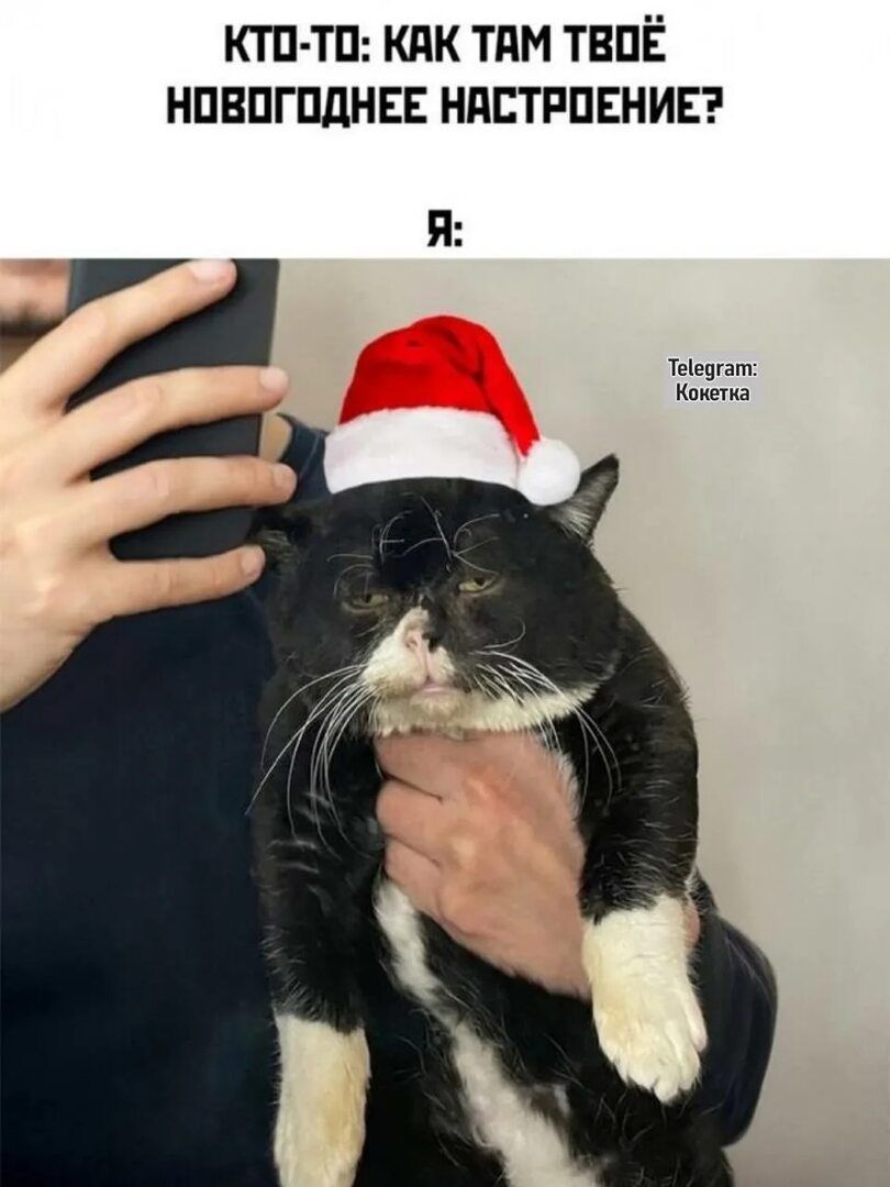 КТО-ТО: КАК ТАМ ТВОЁ НОВОГОДНЕЕ НАСТРОЕНИЕ? Я: