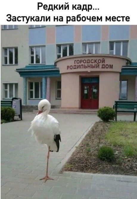 Редкий кадр...\nЗастукали на рабочем месте\nГОРОДСКОЙ РОЛЬНЫЙ ДОМ