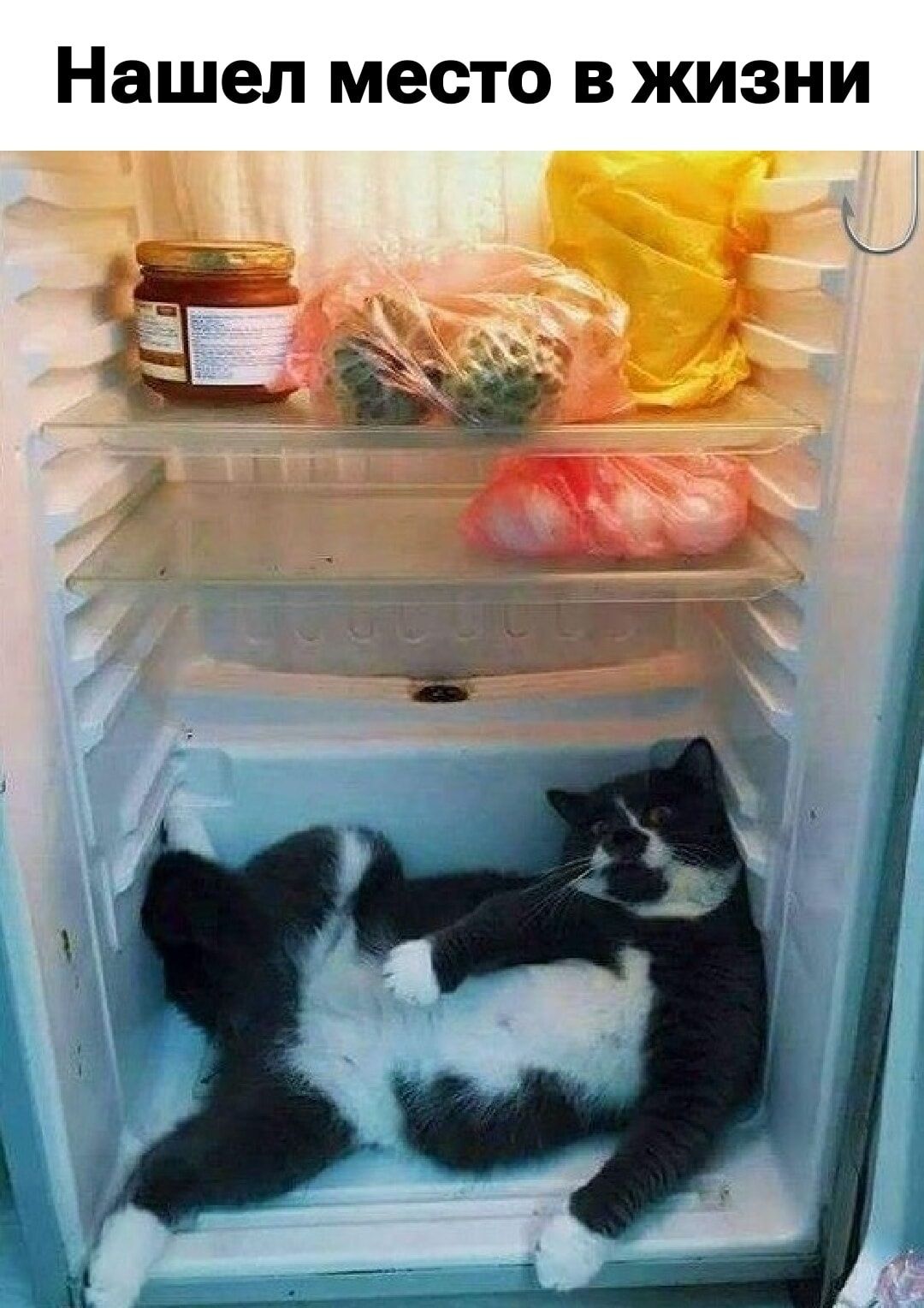 Нашел место в жизни