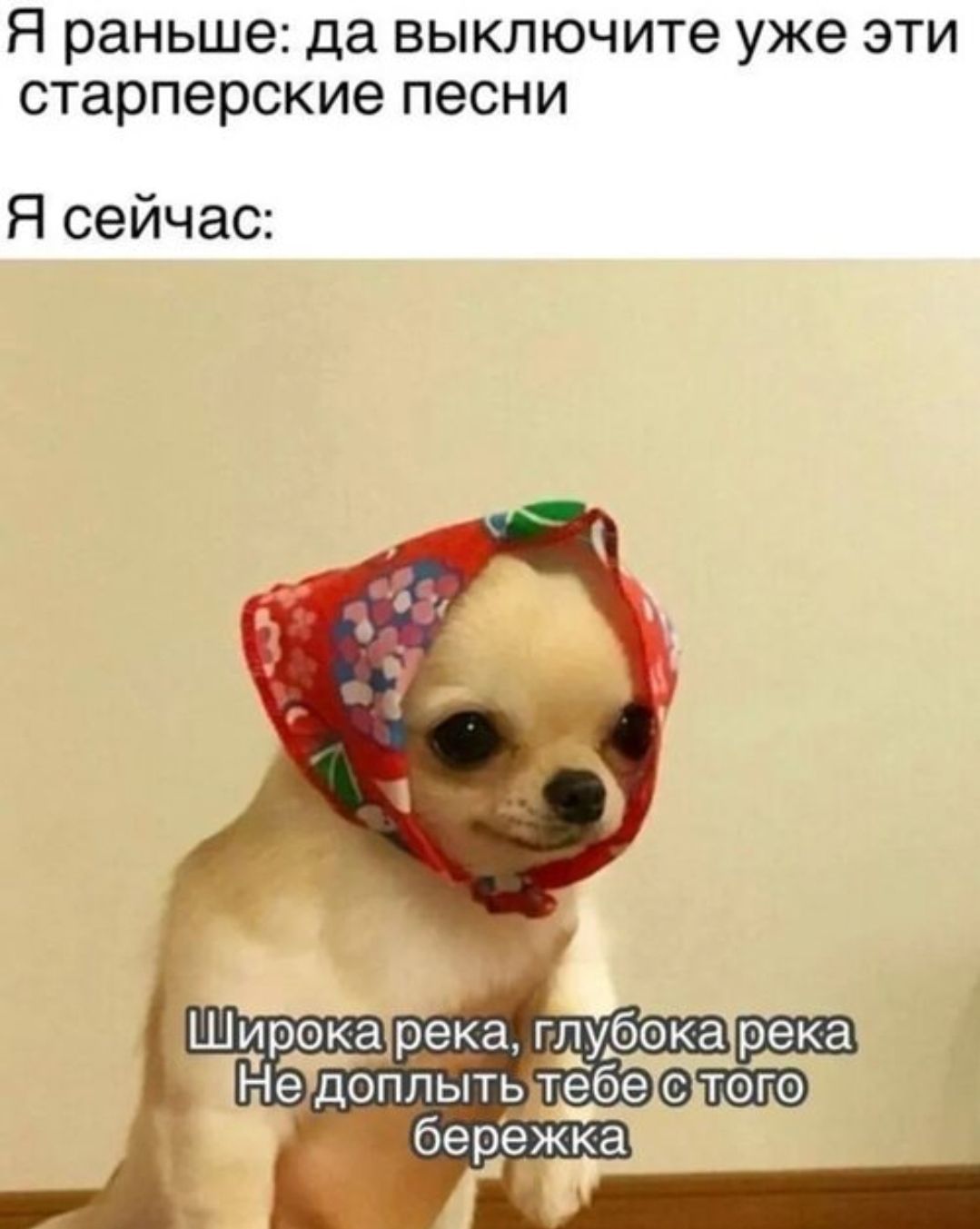 Я раньше: да выключите уже эти старперские песни
Я сейчас:
Широка река, глубока река
Не доплнуть тебе с того берегжа