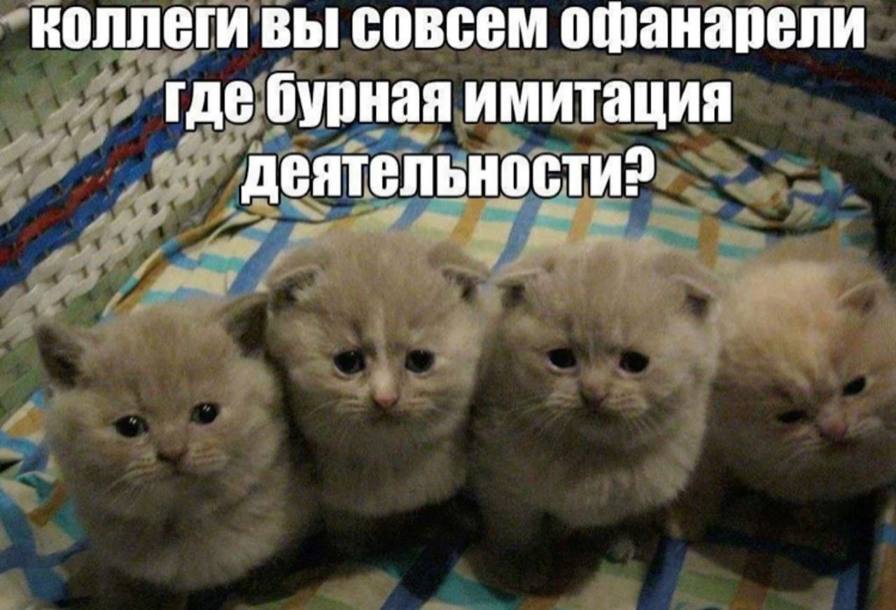 коллеги вы совсем офонарели где бурная имитация деятельности?
