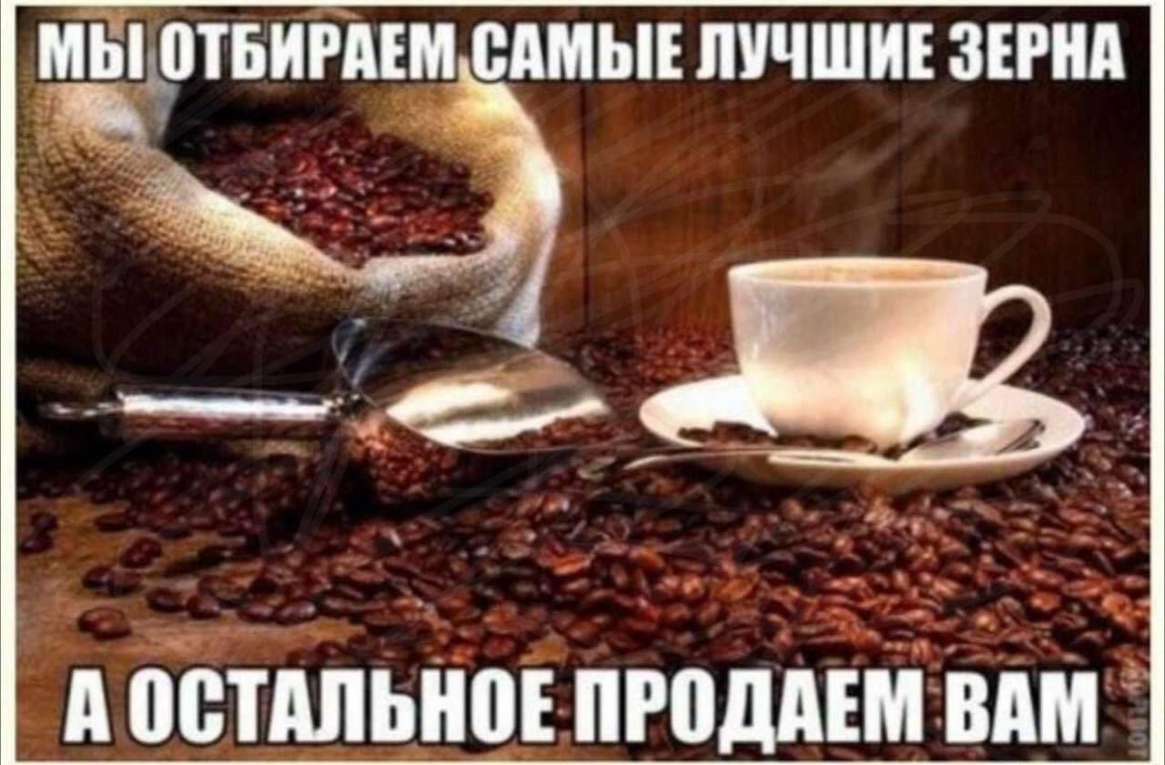 МЫ ОТБИРАЕМ САМЫЕ ЛУЧШИЕ ЗЕРНА А ОСТАЛЬНОЕ ПРОДАДЕМ ВАМ