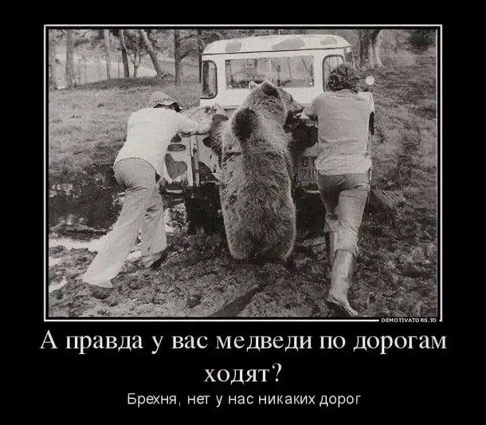 А правда у вас медведи по дорогам ходят?\nБрехня,нет у нас никаких дорог