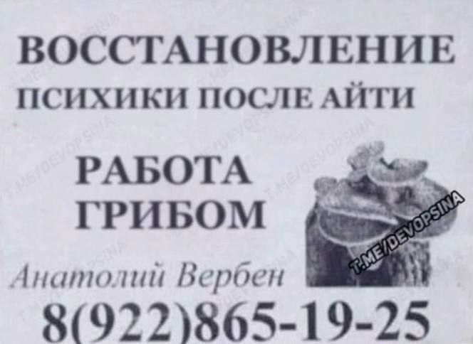 ВОССТАНОВЛЕНИЕ
ПСИХИКИ ПОСЛЕ АЙТИ

РАБОТА
ГРИБОМ

Анатолий Вербен

8(922)865-19-25