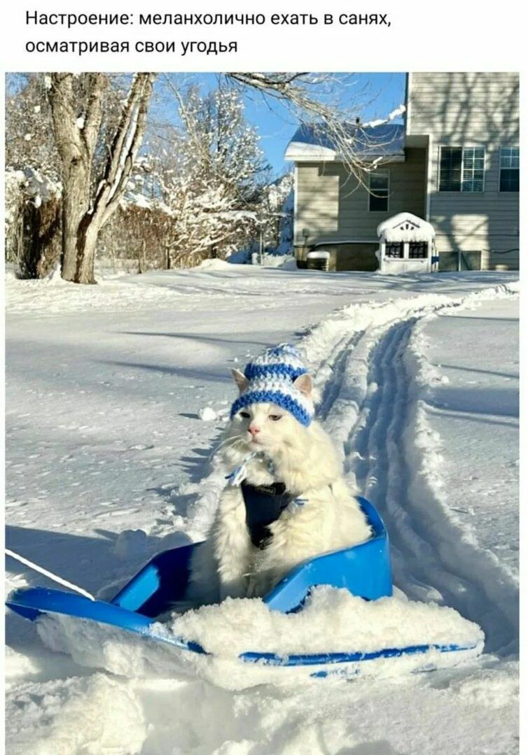 Настроение: melancholy ехать в санях, осматривая свои угодья