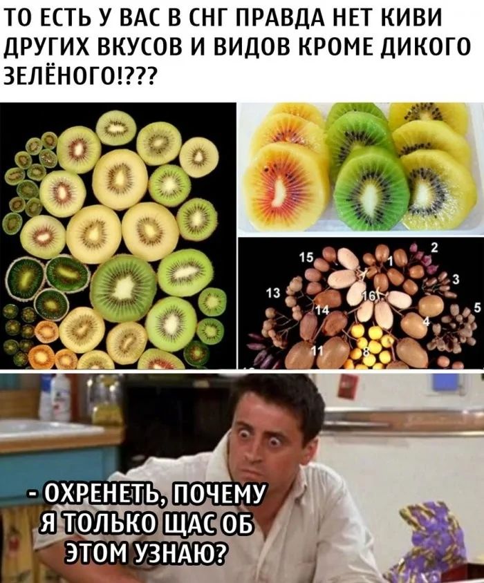ТО ЁСТЬ У ВАС В СНГ ПРАВДА НЕТ КИВИ ДРУГИХ ВКУСОВ И ВИДОВ КРОМЕ ДИКОГО ЗЕЛЁНОГО!???\n- ОХРЕНЕТЬ, ПОЧЕМУ Я ТОЛЬКО СЕЙЧАС ОБ ЭТОМ УЗНАЮ?