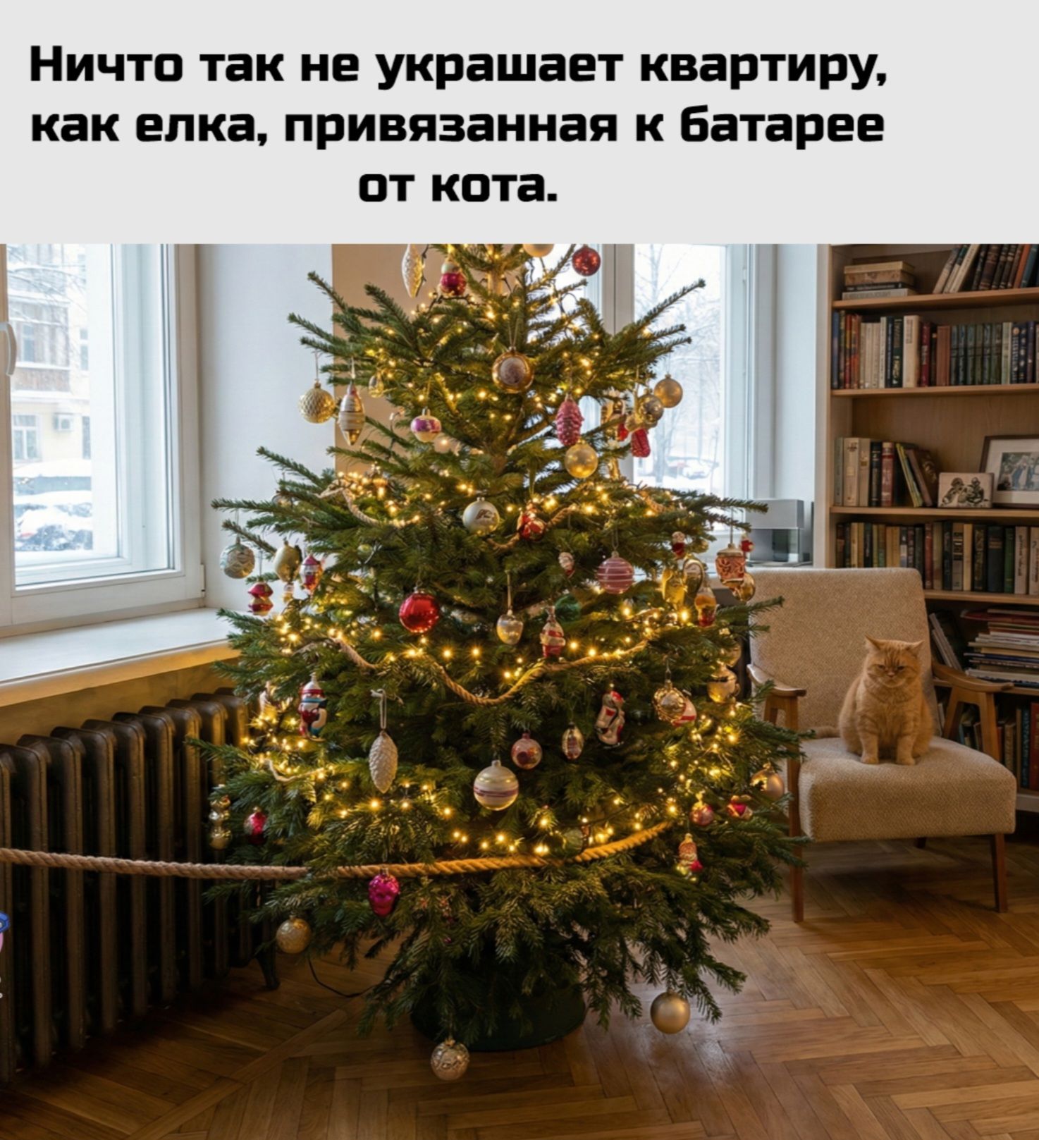 Ничто так не украшает квартиру, как елка, привязанная к батарее от кота.