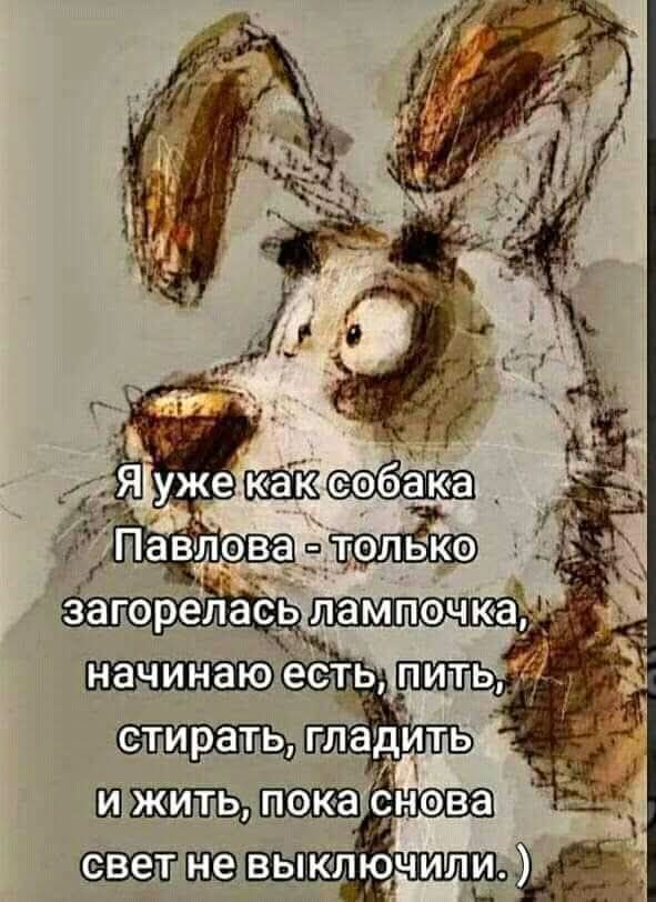 Я уже как собака Павлова - только загорелась лампочка, начинаю есть, пить, стирать, гладить и жить, пока снова свет не выключили.