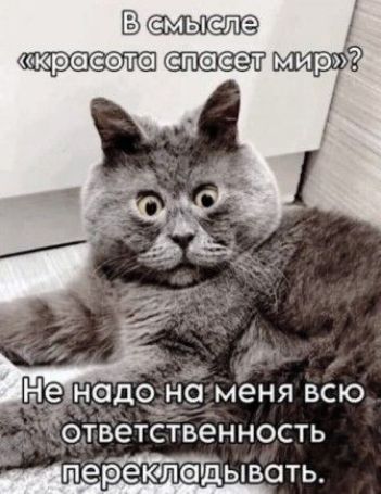 В смысле «красота спасает мир»? Не надо на меня всю ответственность перекладывать.
