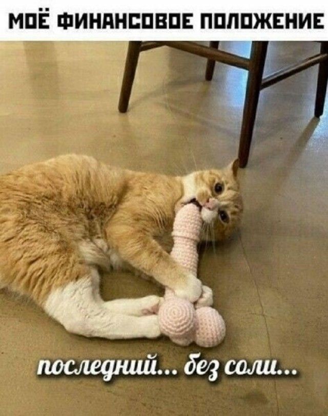 МОЁ ФИНАНСОВОЕ ПОЛОЖЕНИЕ\nпоследний... без соли...