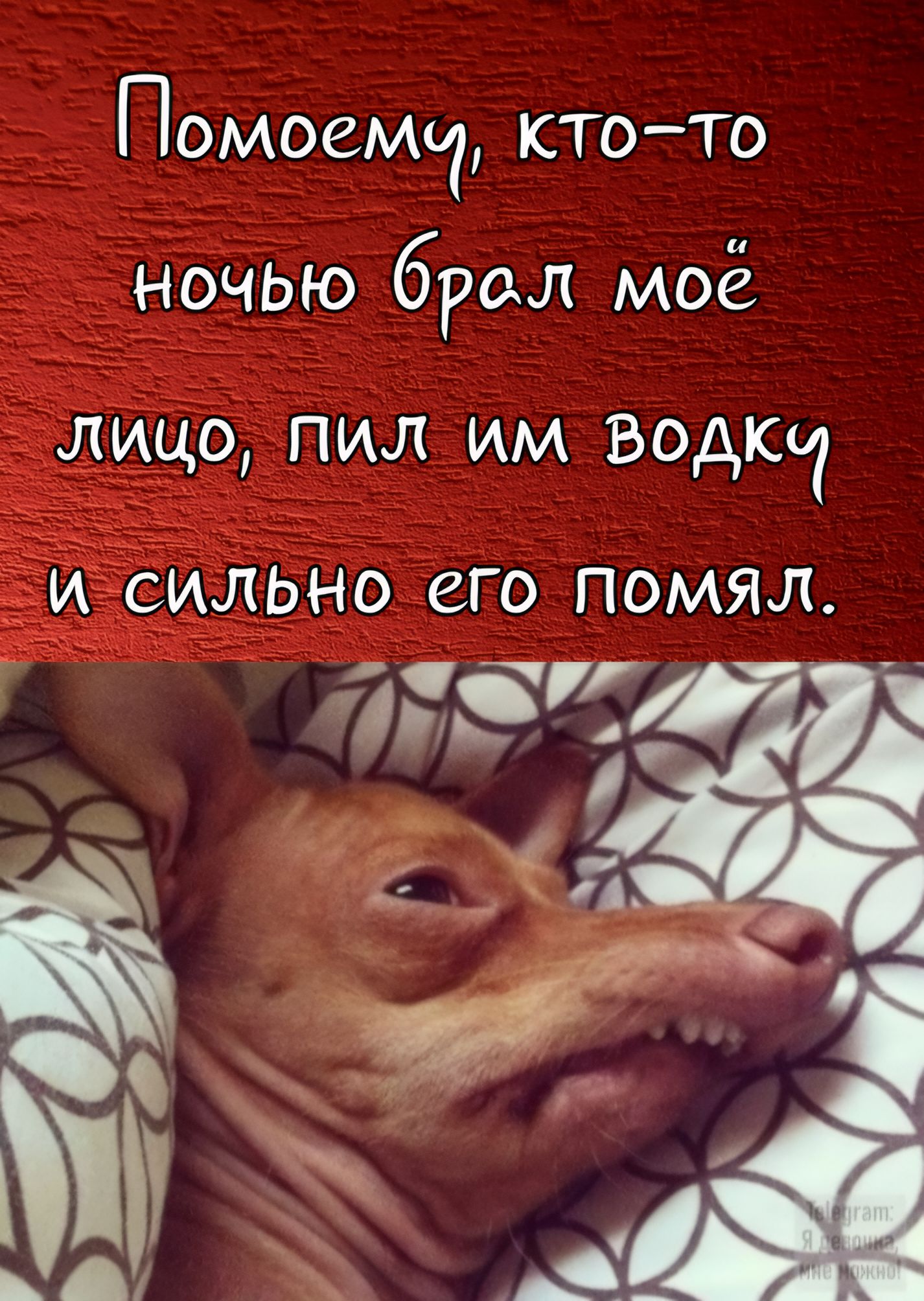 Помоему, кто-то ночью брал моё лицо, пил им водку и сильно его помял.