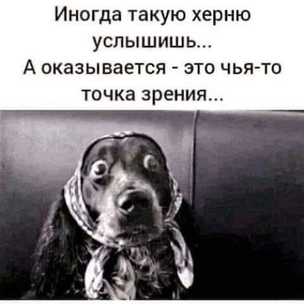 Иногда такую херню услышишь... А оказывается - это чья-то точка зрения...