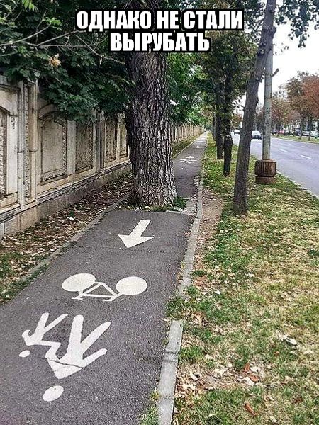 ОДНАКО НЕ СТАЛИ ВЫРУБАТЬ