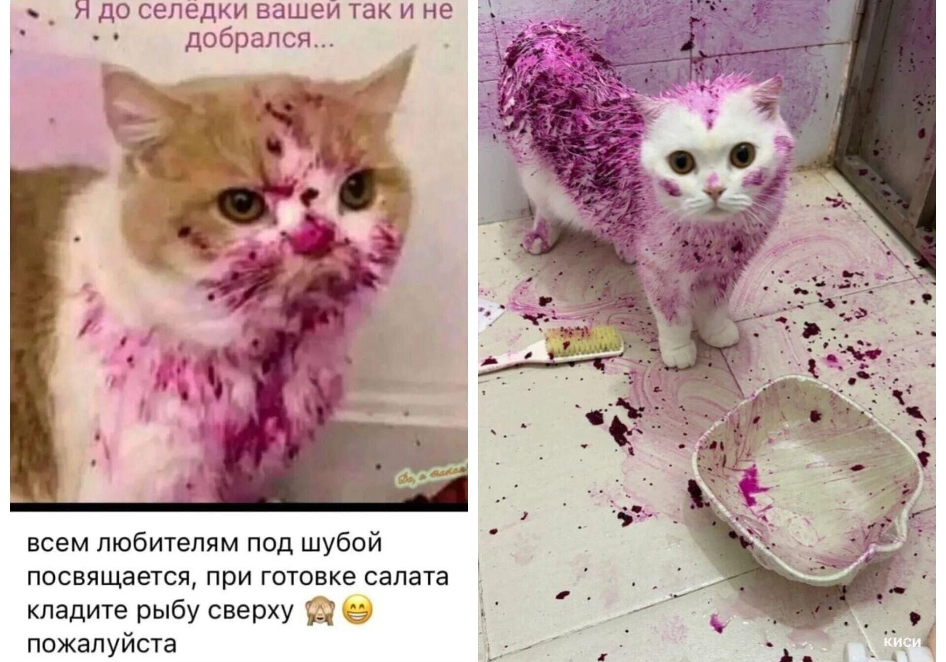 Я до селедки вашей так и не добрался... 
всем любителям под шубой посвящается, при готовке салата кладите рыбу сверху пожалуйста 🙈😅