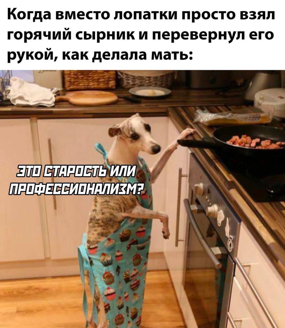 Когда вместо лопатки просто взял горячий сырник и перевернул его рукой, как делала мать:

ЭТО СТАРОСТЬ ИЛИ ПРОФЕССИОНАЛИЗМ?