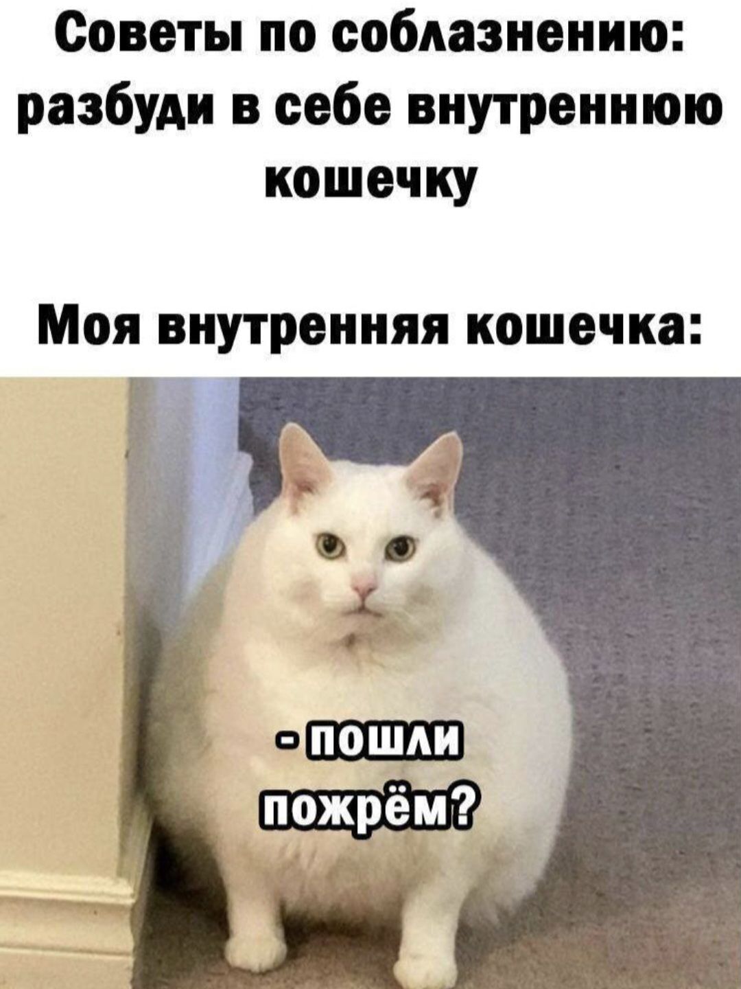 Советы по соблазнению: разбуди в себе внутреннюю кошечку
Моя внутренняя кошечка:
- пошки пожрём?