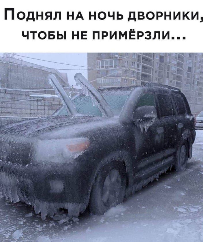 Поднял на ночь дворники, чтобы не примёрзли...