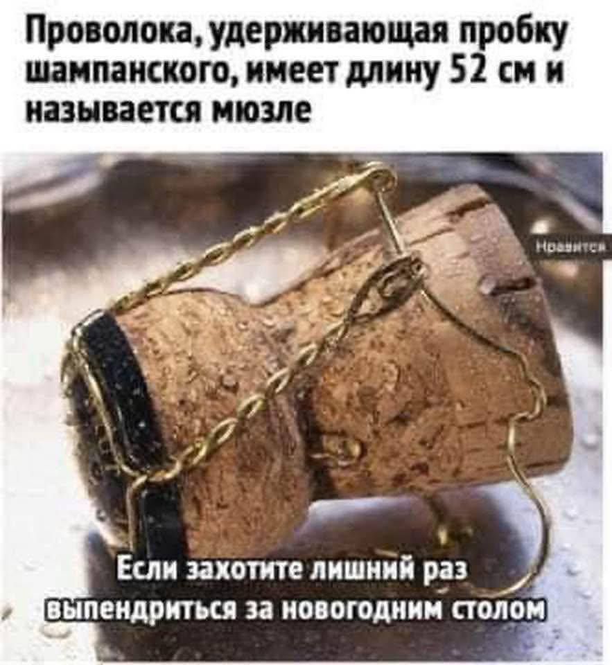 Проволока, удерживающая пробку шампанского, имеет длину 52 см и называется мозгле
Если захотите лишний раз втиснуться за новогодним столом