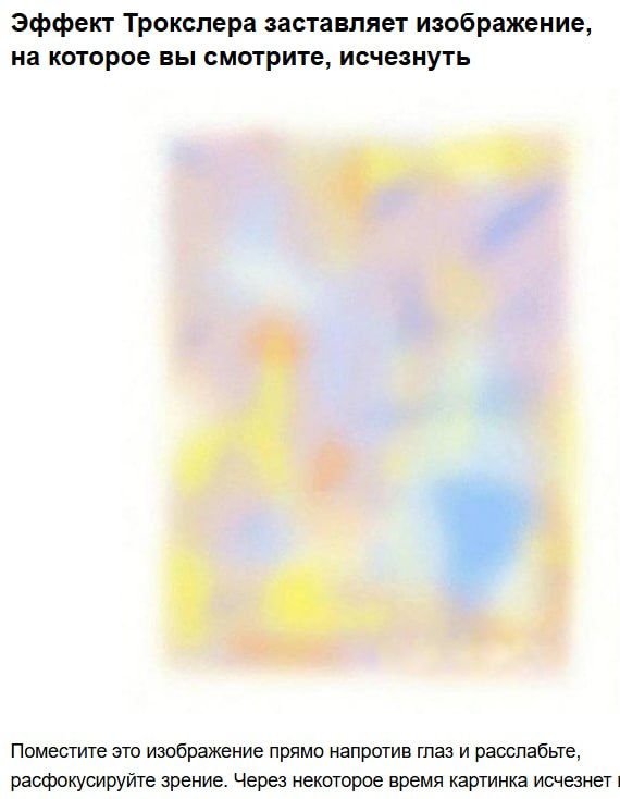 Эффект Трокслера заставляет изображение, на которое вы смотрите, исчезнуть
Поместите это изображение прямо напротив глаз и расслабьте глаза. Через некоторое время картинка исчезнет