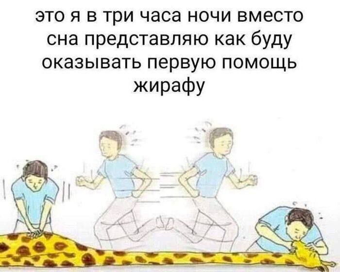 это я в три часа ночи вместо сна представляю как буду оказывать первую помощь жирафу