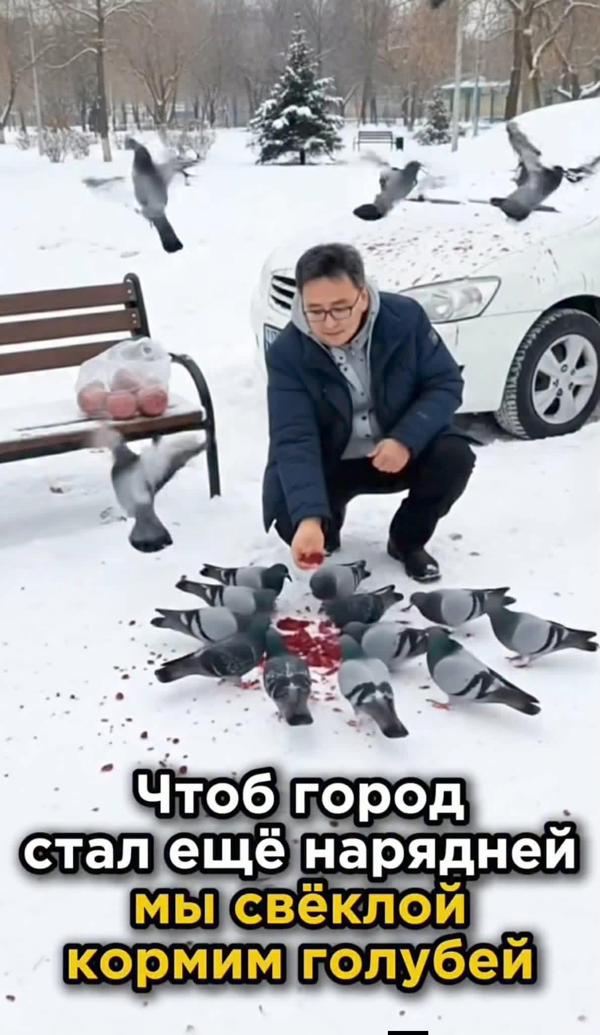 Чтоб город стал ещё нарядней мы свёклой кормим голубей