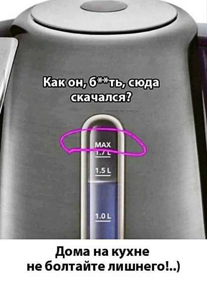 Как он, б**ть, сюда скачался?

MAX
1.5 L
1.0 L

Дома на кухне не болтайте лишнего!..)