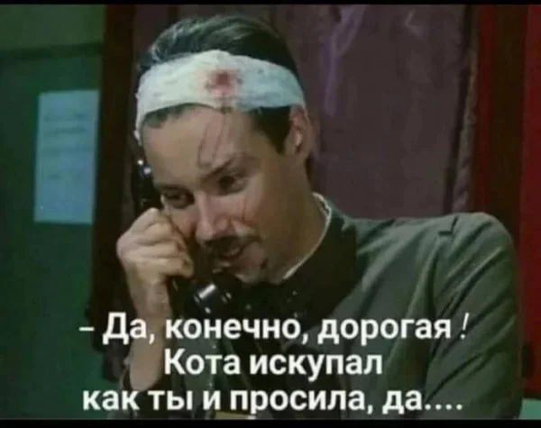 - Да, конечно, дорогая! Кота искупал как ты и просила, да.....