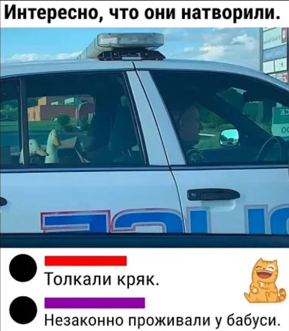 Интересно, что они натворили.\n• Толкали кряк.\n• Незаконно проживали у бабуси.