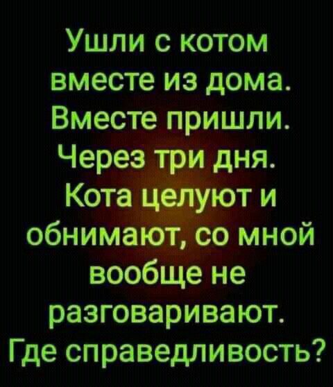 Ушли с котом вместе из дома. Вместе пришли. Через три дня. Кота целуют и обнимают, со мной вообще не разговаривают. Где справедливость?