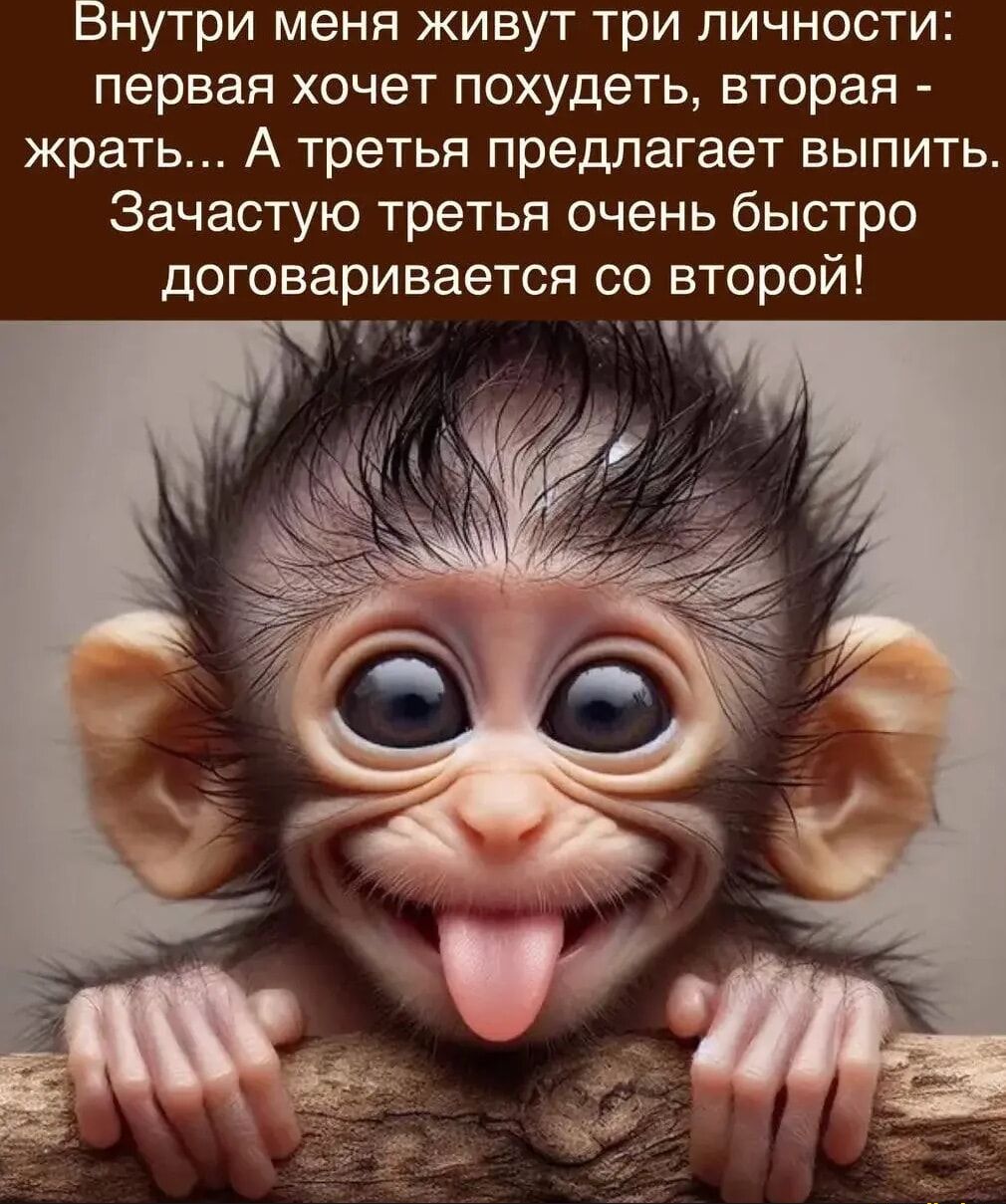 Внутри меня живут три личности: первая хочет похудеть, вторая - жрать... А третья предлагает выпить. Зачастую третья очень быстро договаривается со второй!