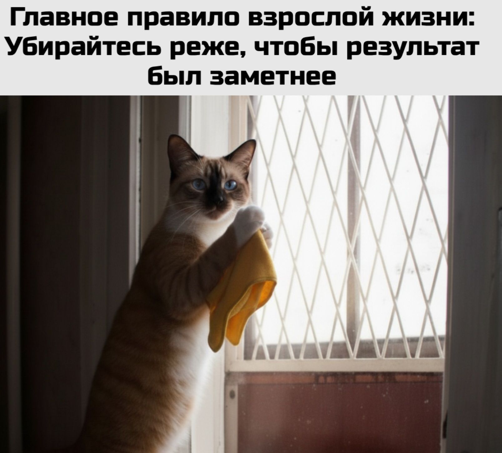 Главное правило взрослой жизни: Убирайтесь реже, чтобы результат был заметнее