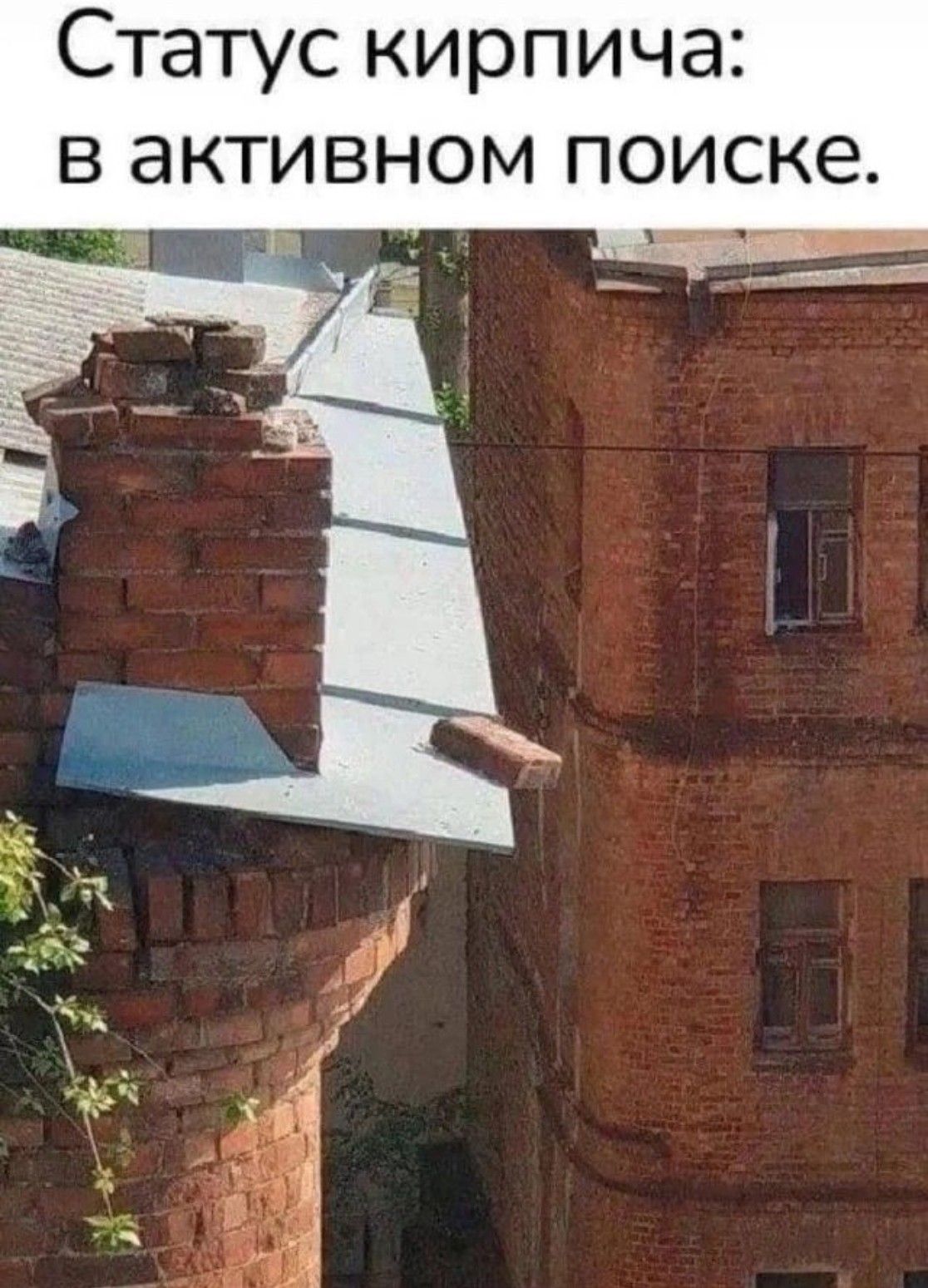 Статус кирпича: в активном поиске.