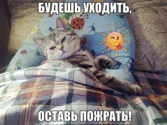 БУДЕШЬ УХОДИТЬ, ОСТАВЬ ПОЖРАТЬ!