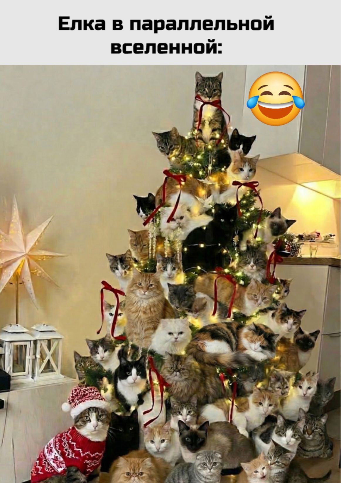 Елка в параллельной вселенной: 😂