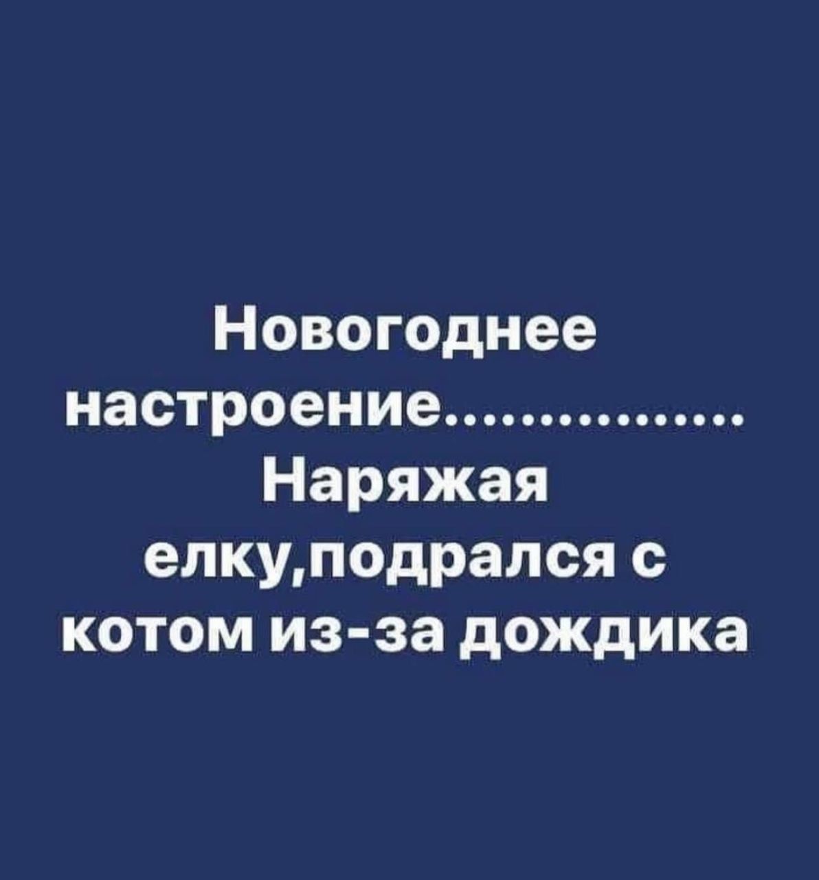 Новогоднее настроение............ Наряжая елку,подрался с котом из-за дождика