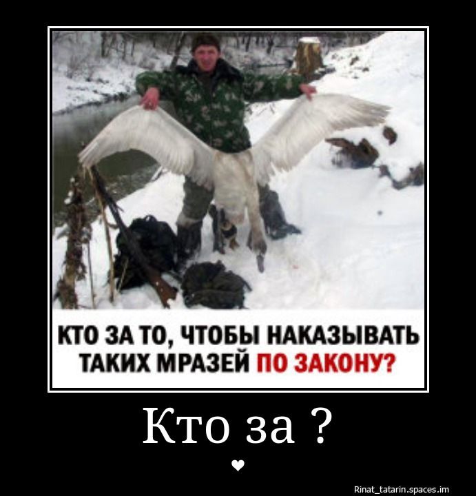 КТО ЗА ТО, ЧТОБЫ НАКАЗЫВАТЬ ТАКИХ МРАЗЕЙ ПО ЗАКОНУ?\nКто за ?