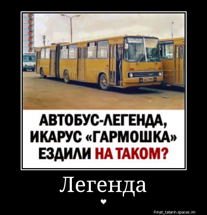 АВТОБУС-ЛЕГЕНДА, ИКАРУС «ГАРМОШКА» ЕЗДИЛИ НА ТАКОМ?
Легенда