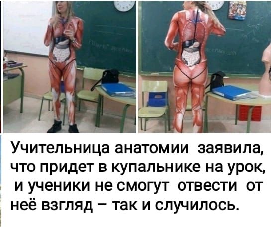 Учительница анатомии заявила, что придет в купальнике на урок, и ученики не смогут отвлечь от неё взгляд – так и случилось.