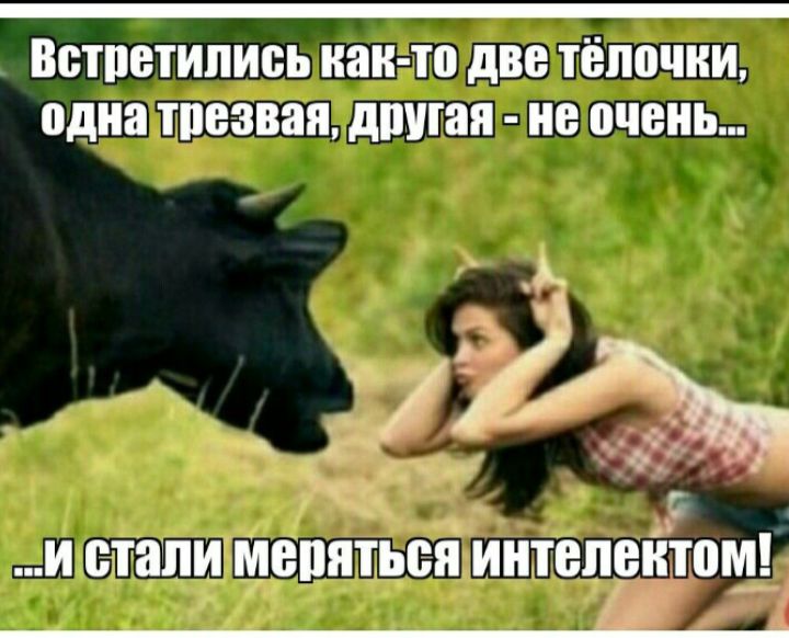 Встретились как-то две телочки, одна трезвая, другая - не очень...
и стали меряться интеллектом!