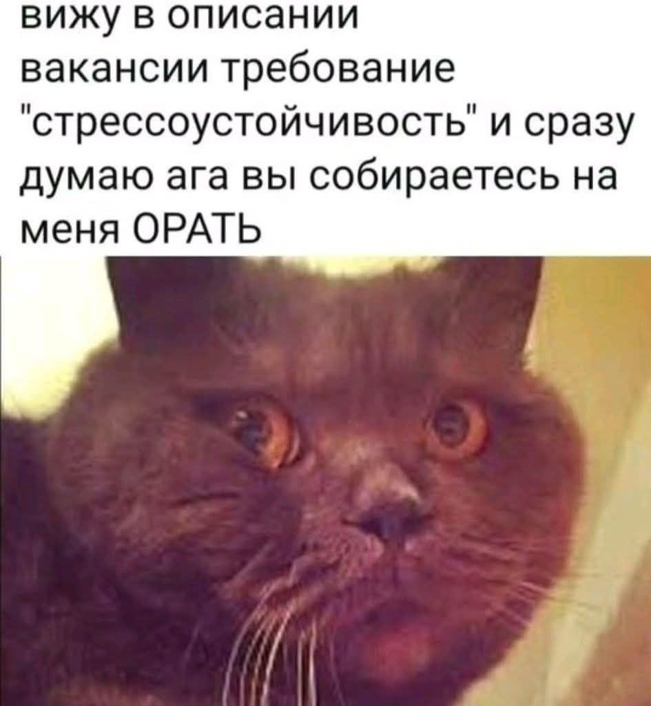 вижу в описании вакансии требование 