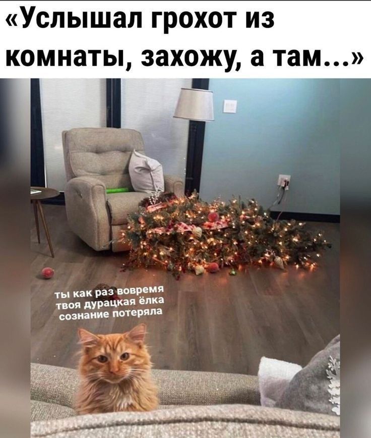 «Услыхал грохот из комнаты, захожу, а там...» ты как раз вовремя, твоя дурацкая ёлка сознание потеряла