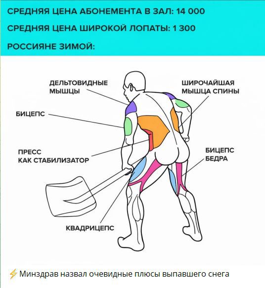 СРЕДНЯЯ ЦЕНА АБОНЕМЕНТА В ЗАЛ: 14 000
СРЕДНЯЯ ЦЕНА ШИРОКОЙ ЛОПАТЫ: 1 300
РОССИЯНЕ ЗИМОЙ:

ДЕЛЬТОВИДНЫЕ МЫШЦЫ
БИЦЕПС
ПРЕСС КАК СТАБИЛИЗАТОР
КВАДРИЦЕПС
ШИРОЧАЙШАЯ МЫШЦА СПИНЫ
БИЦЕПС БЕДРА
⚡ Минздрав назвал очевидные плюсы выпавшего снега