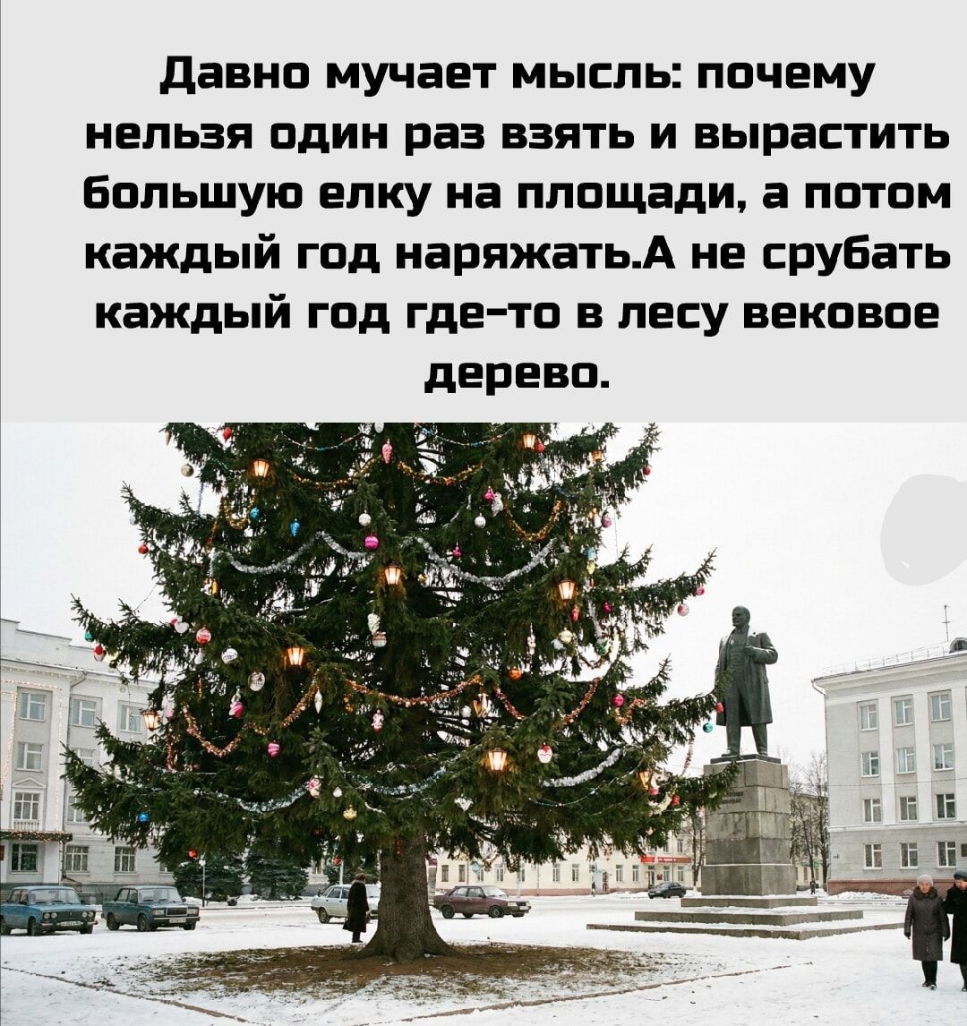 Давно мучает мысль: почему нельзя один раз взять и вырастить большую елку на площади, а потом каждый год наряжать. А не срубать каждый год где-то в лесу вековое дерево.