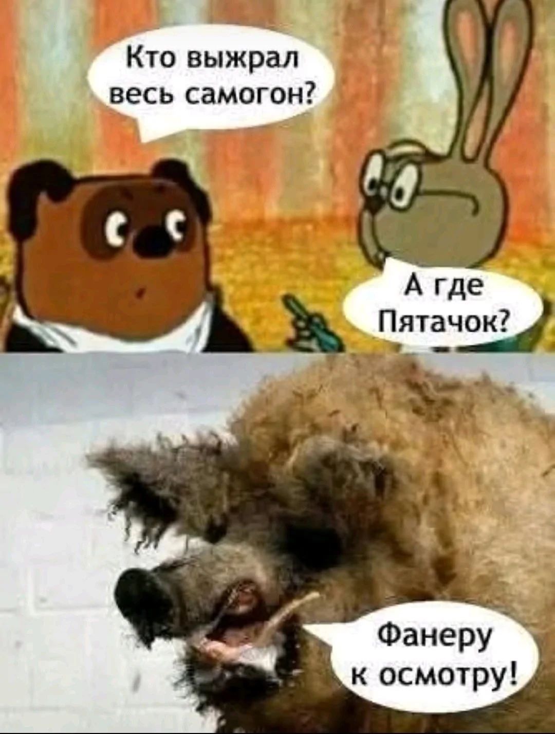 Кто выжил весь самогон? А где Пятачок? Фанеру к осмотру!