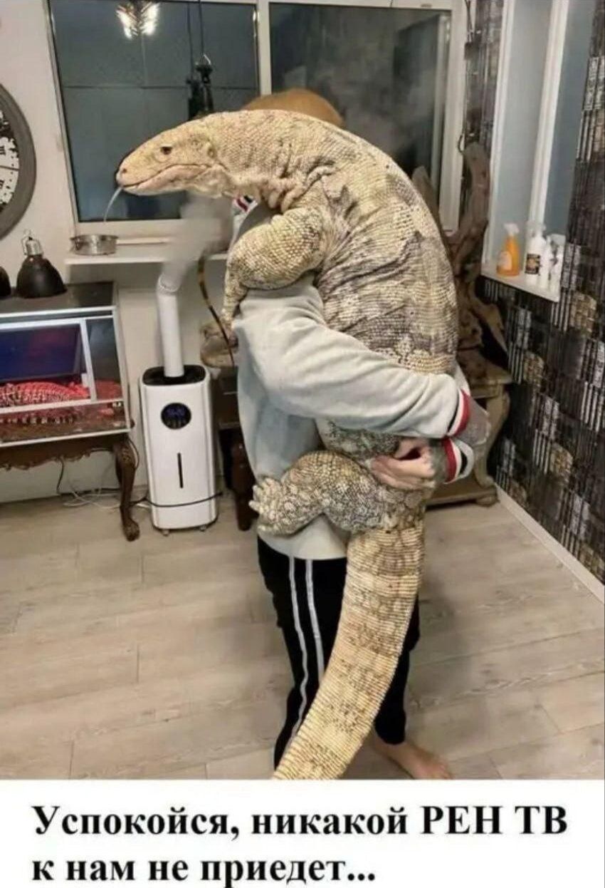 Успокойся, никакой РЕН ТВ к нам не придет...