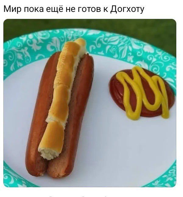 Мир пока ещё не готов к Догхоту