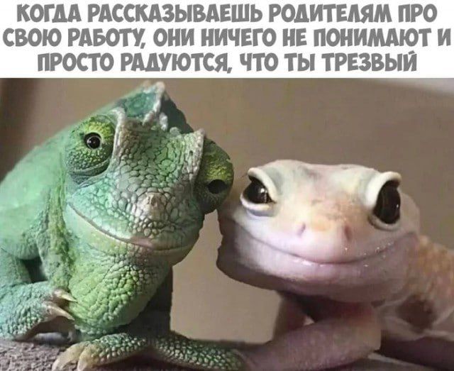 КОГДА РАССКАЗЫВАЕШЬ РОДИТЕЛЯМ ПРО СВОЮ РАБОТУ, ОНИ НИЧЕГО НЕ ПОНИМАЮТ И ПРОСТО РАДУЮТСЯ, ЧТО ТЫ ТРЕЗВЫЙ
