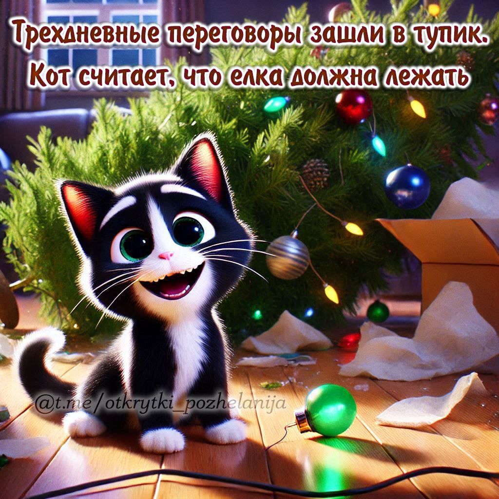 Трехдневные переговоры зашли в тупик. Кот считает, что елка должна лежать